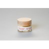 Cold cream rose