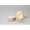 Cold cream rose